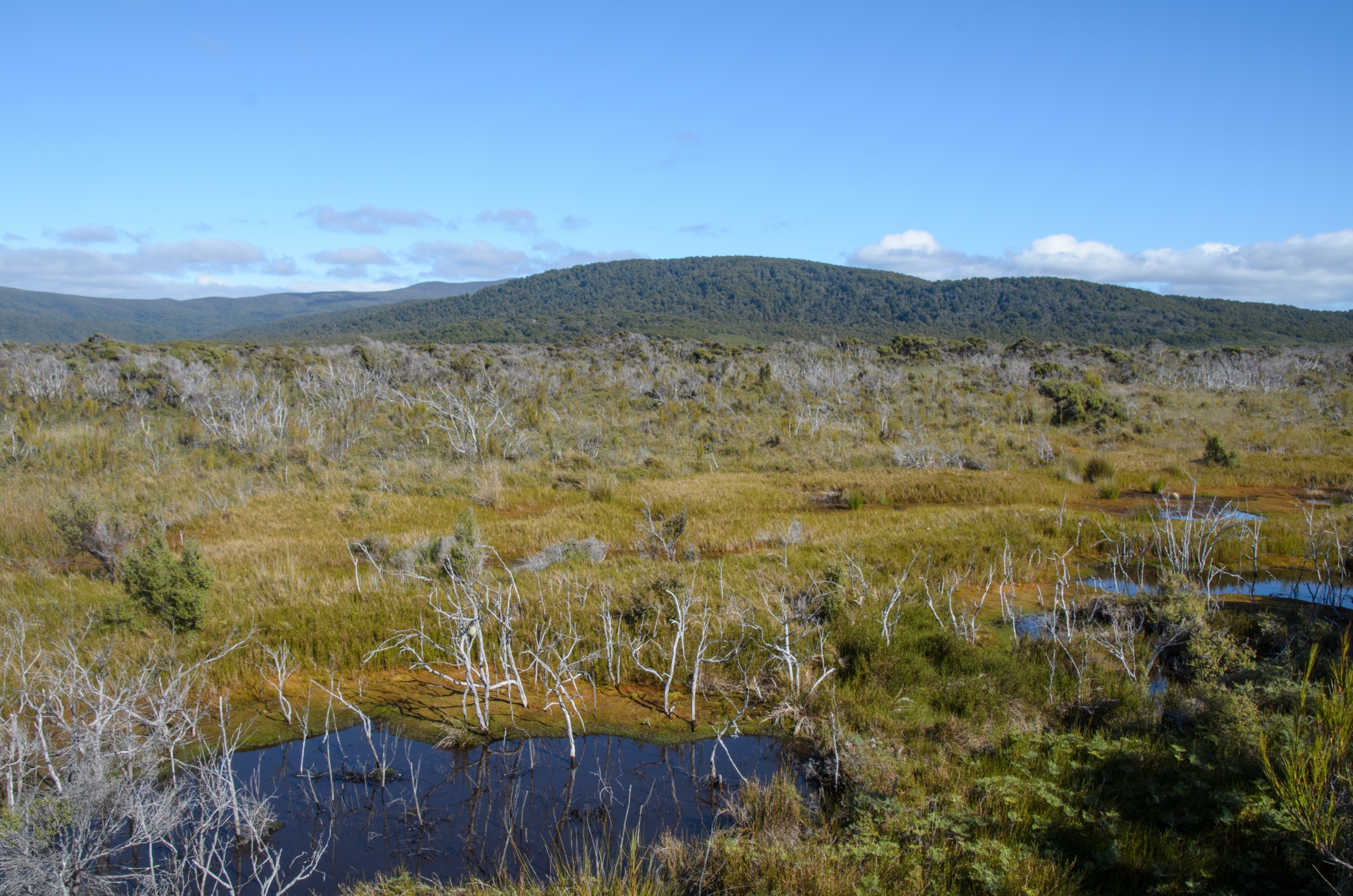 DSC_2187 – Adventure, Crispin, Freshwater, Freshwater Hut, Hut, Island, March 2017, Mason, Mason Bay, National Park, New, New Zealand, Rakiura, South, Stewart, Zealand